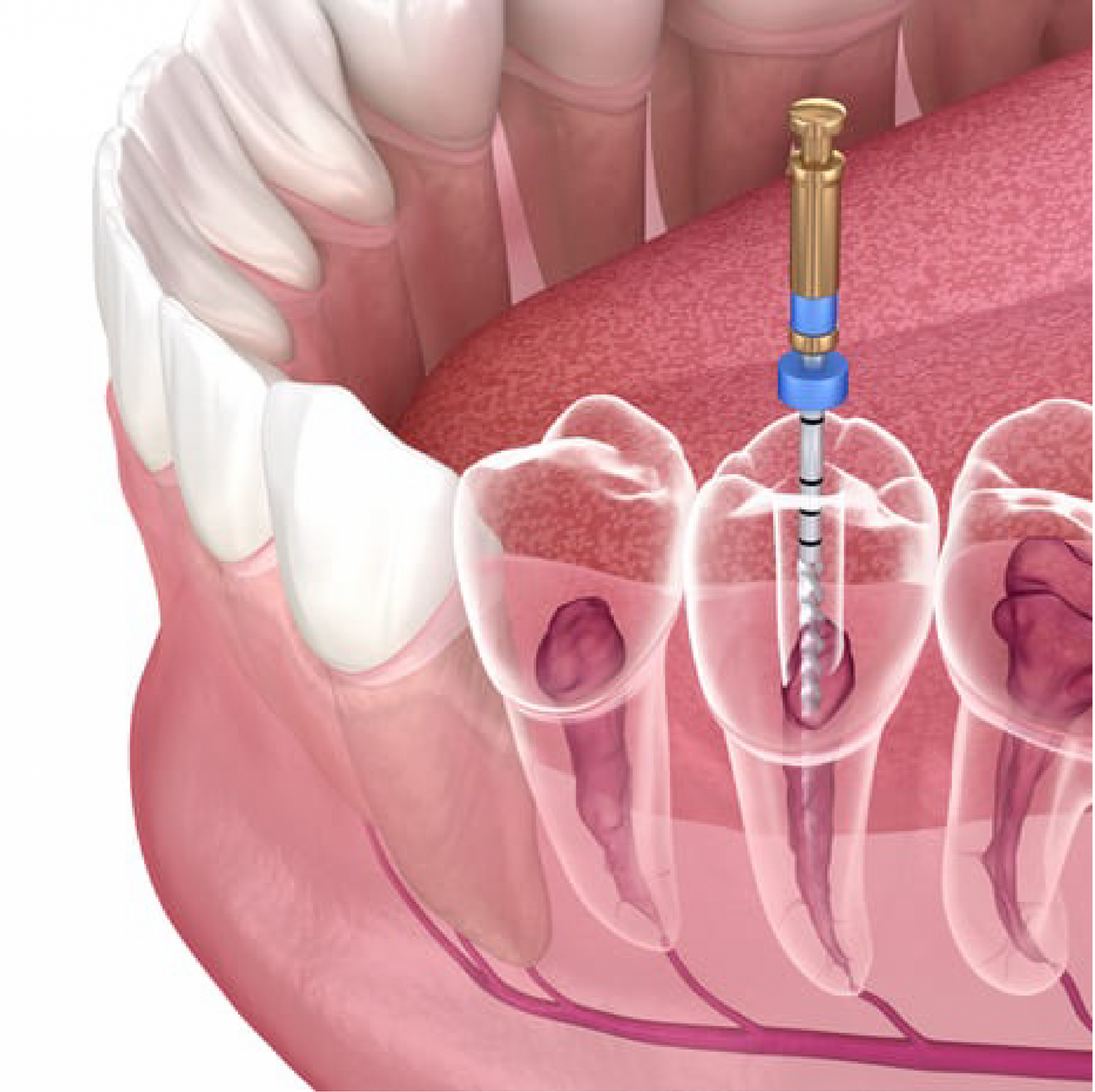 imgi_71_otras-especialidades-1-2048x2043